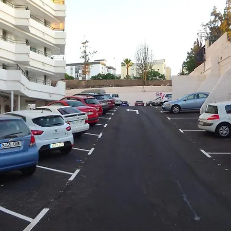 Flamingo Friendly * Playa del Ingles (Gran Canaria)